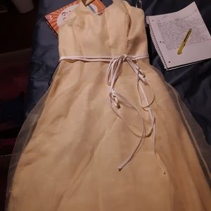 Bridesmaids dress